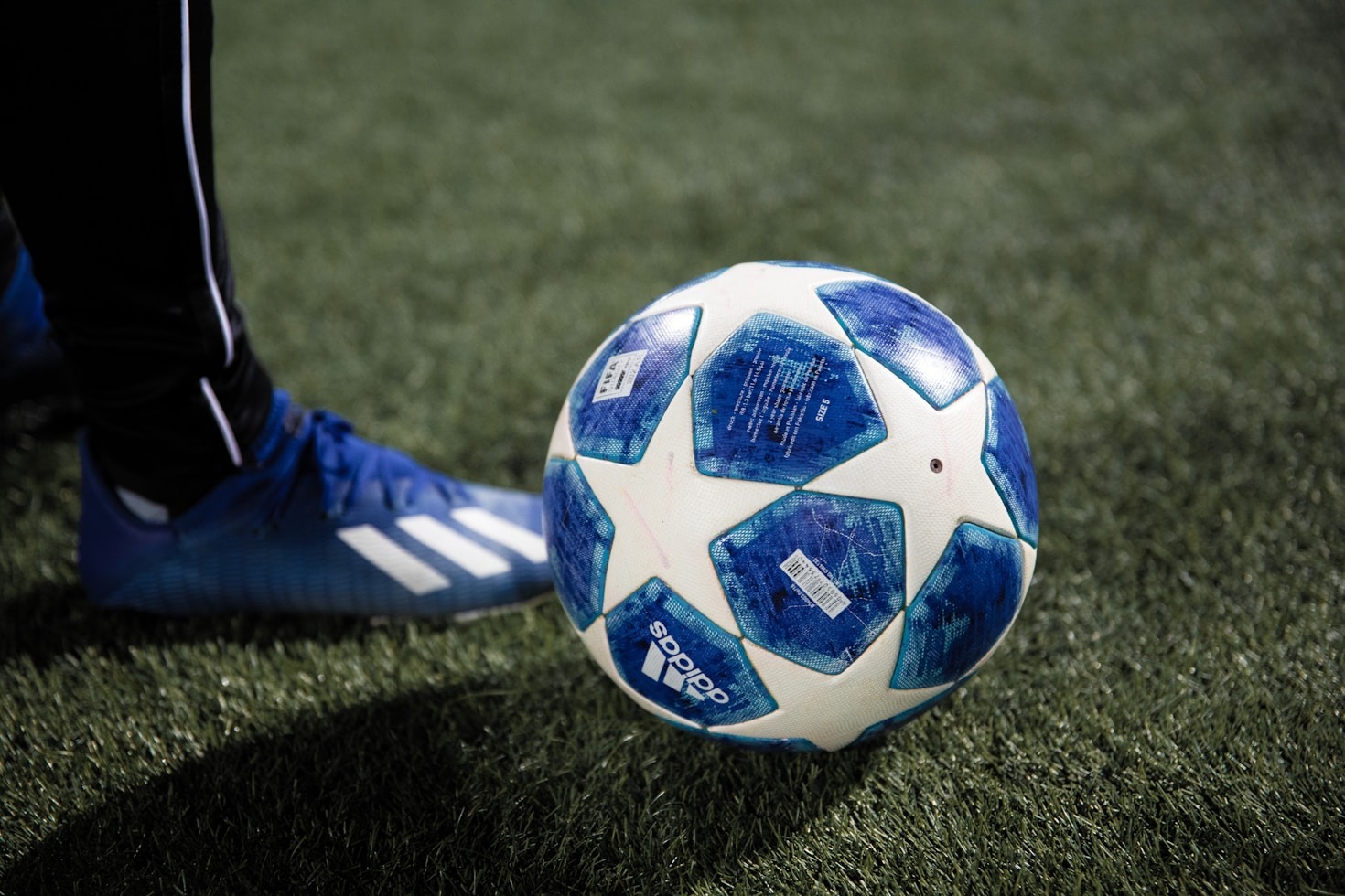 Desvendando as Apostas na Champions League